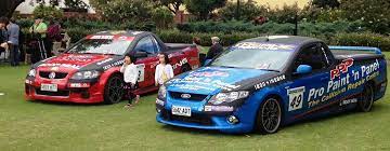 Pro Paint N Panel  SA Power Work only Photos